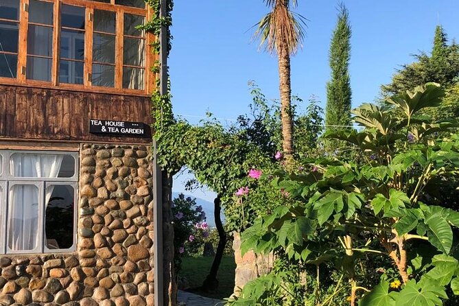 1,5 Hours Tea House and Tea Garden Trip in Ozurgeti Georgia - Language Options: English Availability Matters