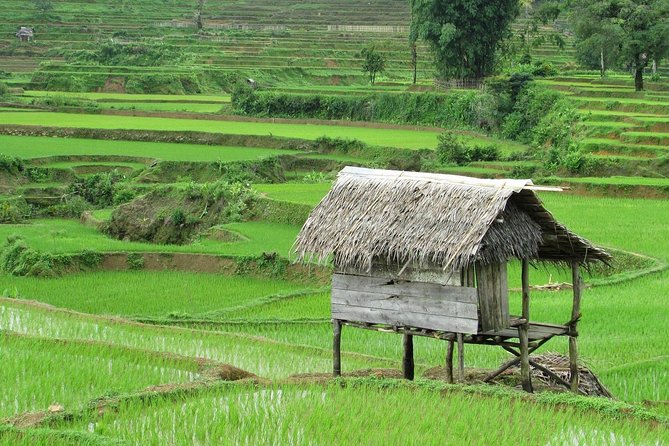 Active Volcano, Rice Field, Hot Spring, Fruit market, Tea Plantation with Lunch - Ciater Hot Springs: the warm sulfur-water reset you came for