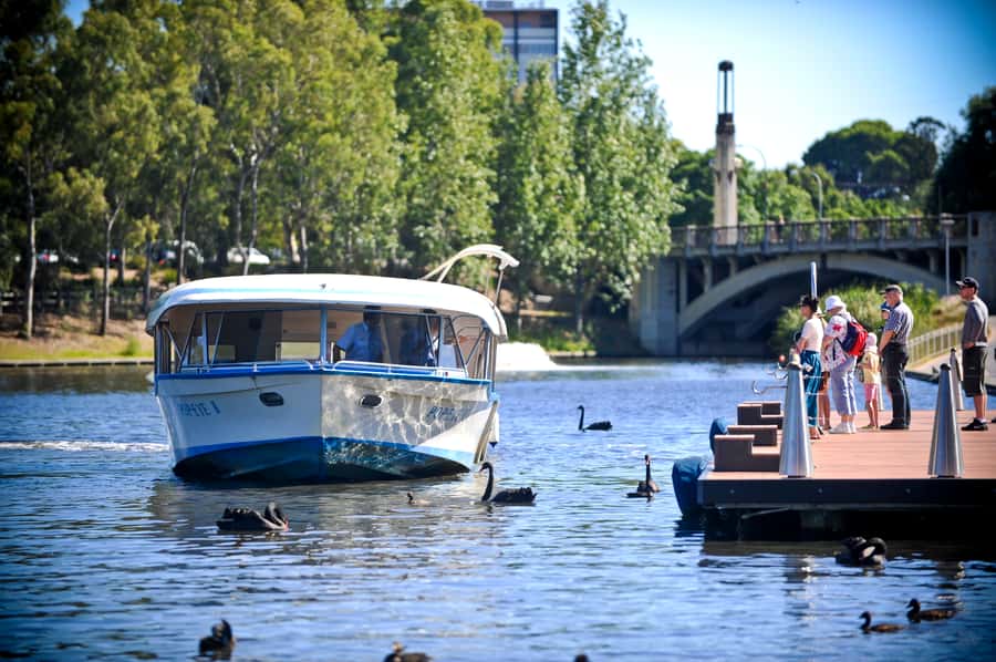 Adelaide: River Torrens Popeye Devonshire Tea Cruise - Key things that make this cruise worth your time