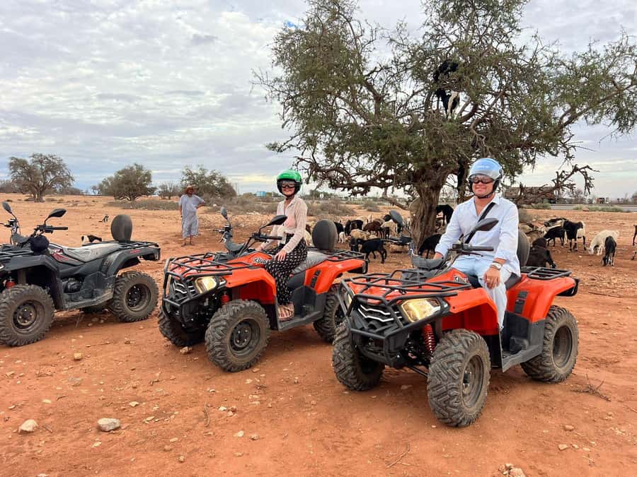 Agadir: ATV Quad Biking and Goats On Argan Trees with Tea - The Atlas drive: the “warm-up” before the dirt