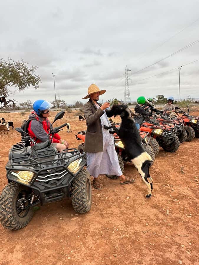 Agadir: ATV Quad Biking and Goats On Argan Trees with Tea - Your quad bike time: controls, steep bits, and real riding