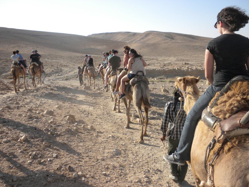Agadir: Camel Ride With Tea - Key highlights worth your attention