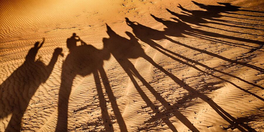 Agadir: Camel Ride With Tea - Who This Tour Suits Best