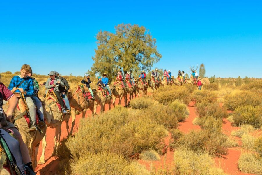 Agadir: Camel Ride With Tea & BBQ Dinner Option - Key Highlights You’ll Care About