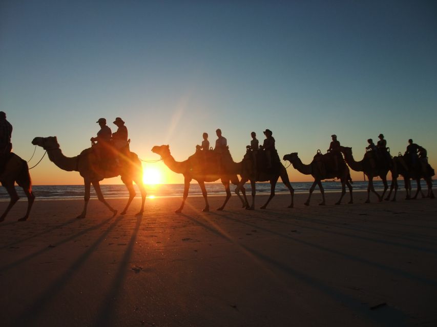 Agadir: Camel Ride With Tea & BBQ Dinner Option - Should You Book the Agadir Camel Ride with Tea and Optional BBQ?