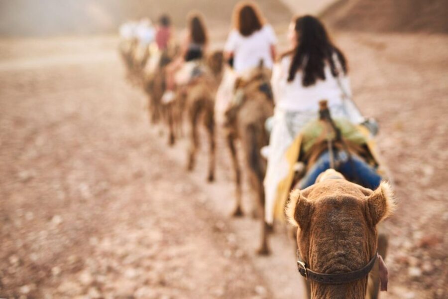 Agadir: Camel Ride With Tea & BBQ Dinner Option - Your Mint Tea Reset: What Happens After You Ride