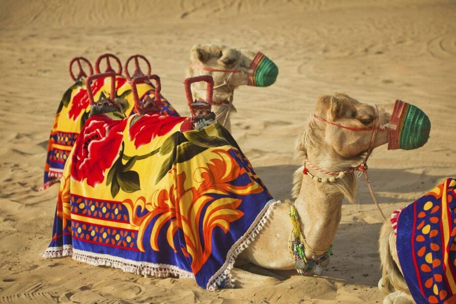 Agadir: Camel Ride With Tea & BBQ Dinner Option - Optional BBQ Dinner: What You Get After Tea