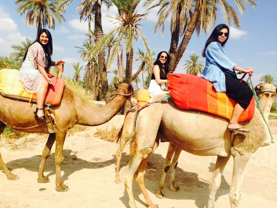 Agadir: Camel Ride With Tea & BBQ Dinner Option - Value in Real Terms: Why This Price Works