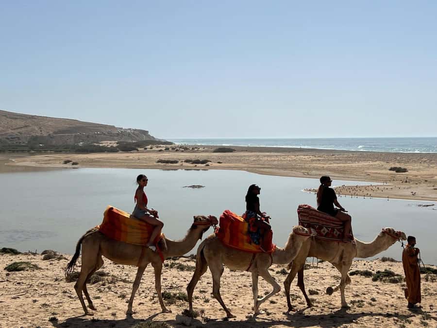 Agadir: Camel Ride With Tea & BBQ Dinner Option - Who Should Book This Camel Ride (and Who Might Skip It)