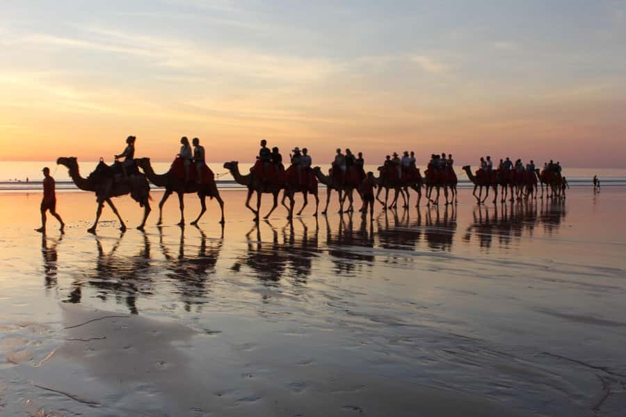 Agadir: Camel Ride With Tea - Choosing Your Camel and Getting Ready for the Ride