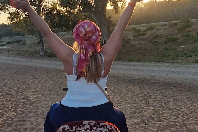 Agadir Camel Rides with Tea Drink & cakes - The Ride Route: Countryside Views, Eucalyptus, and Wildlife Odds