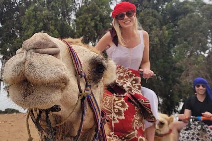 Agadir: Camel Riding Tour with Tea Drink - Key Highlights You’ll Feel Right Away