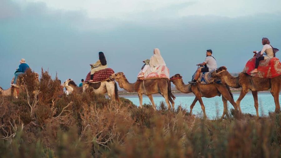 Agadir: Camel Riding Tour with Tea Drink - Should You Book This Agadir Camel Riding Tour?