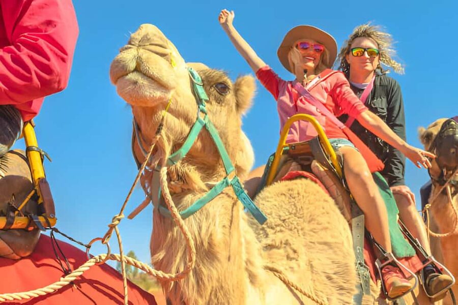 Agadir: Camel Riding Tour with Tea Drink - Getting to the Camel Spot from Agadir: Pickup Timing That’s Worth Planning For