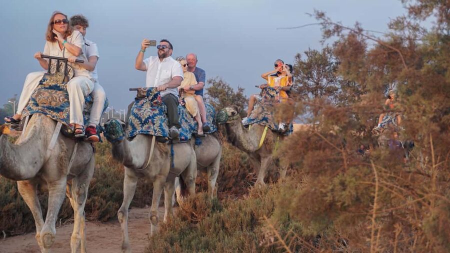 Agadir: Camel Riding Tour with Tea Drink - Mint Tea at the End: Why This Little Stop Feels Like the Point