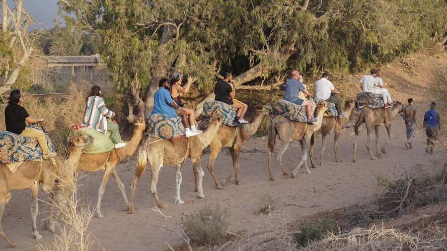 Agadir: Camel Riding Tour with Tea Drink - Riding Desert Dunes vs Riding Near a River: Manage This Expectation
