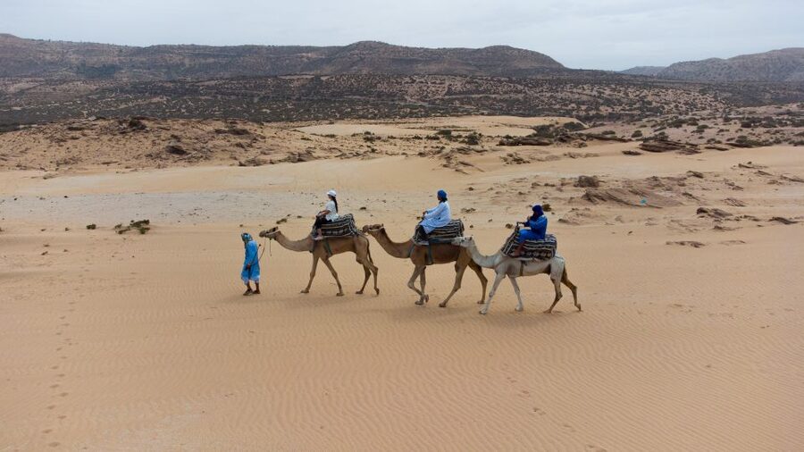 Agadir: Camel Riding Tour with Tea Drink - Practical Tips to Make Your Day Smoother