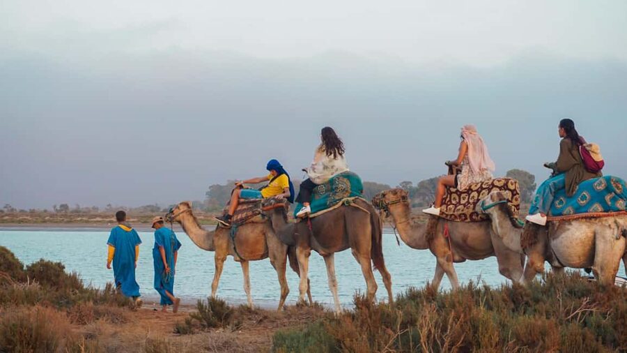 Agadir: Camel Riding Tour with Tea Drink - The Camel Ride: Gentle, Rhythmic, and Very Moroccan