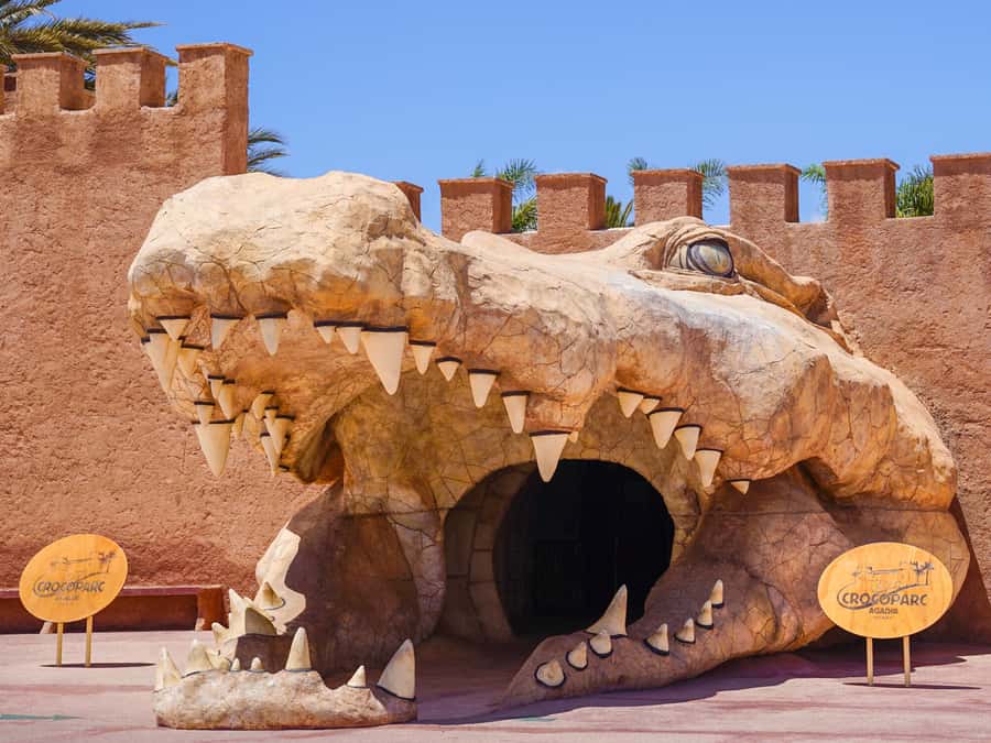 Agadir: Crocoparc Entry Ticket with Transfers, Guide, & Tea - Key highlights at Crocoparc (what matters most)