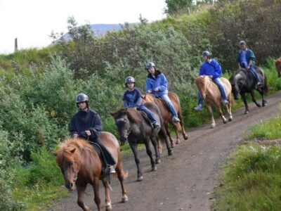 Agadir: Guided Horse Riding Along Flamingo River with Tea - Two Hours on Horseback: Dunes, Eucalyptus, and That Sand Rhythm