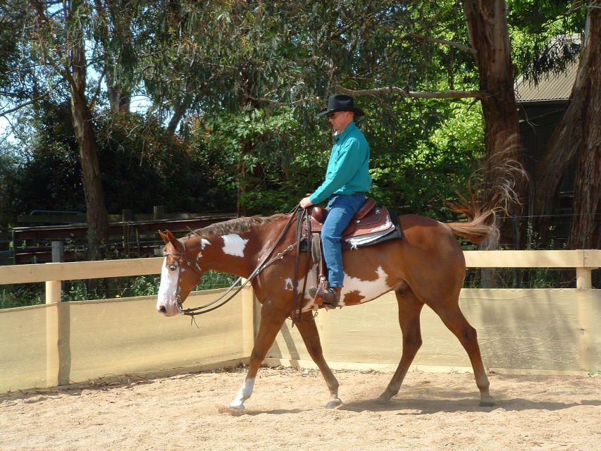 Agadir: Guided Horse Riding Along Flamingo River with Tea - The Guide Factor: Calm Horses, Clear Instructions, and Optional Gallops