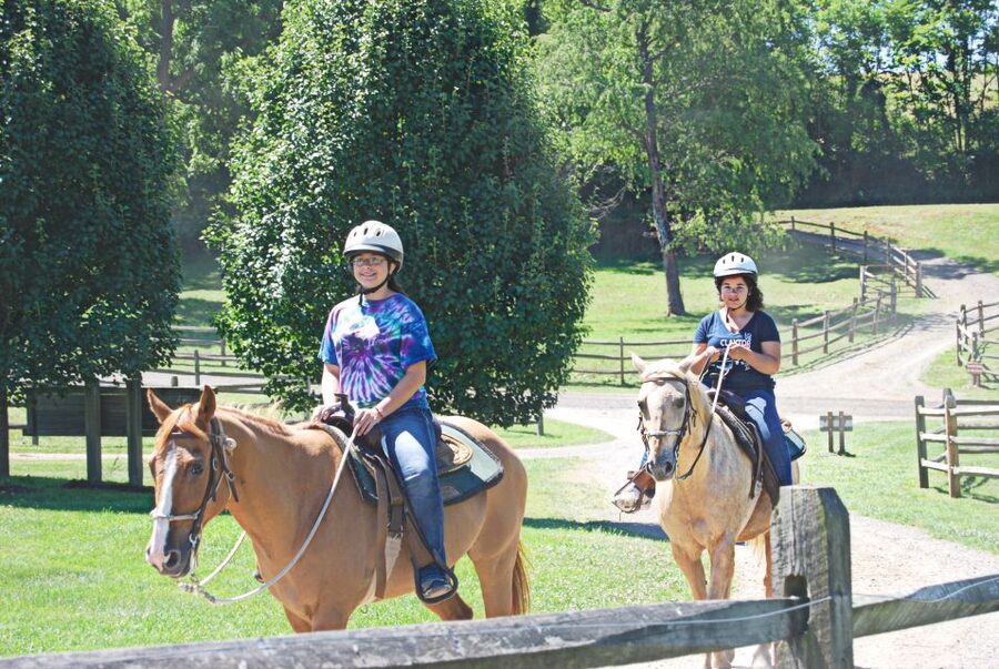 Agadir: Guided Horse Riding Along Flamingo River with Tea - Price and Value: Is $22 a Good Deal?