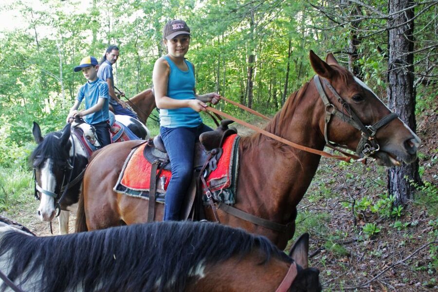 Agadir: Guided Horse Riding Along Flamingo River with Tea - Things to Consider Before You Book