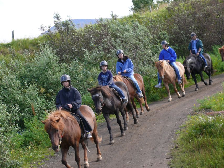 Agadir: Guided Horse Riding Along Flamingo River with Tea - Two Hours on Horseback: Dunes, Eucalyptus, and That Sand Rhythm