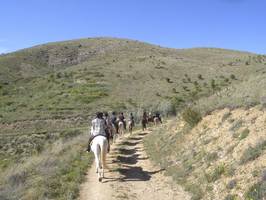 Agadir Horse Riding visite the flamingo river with tea drink - Tea at the end: why the finish matters more than you think