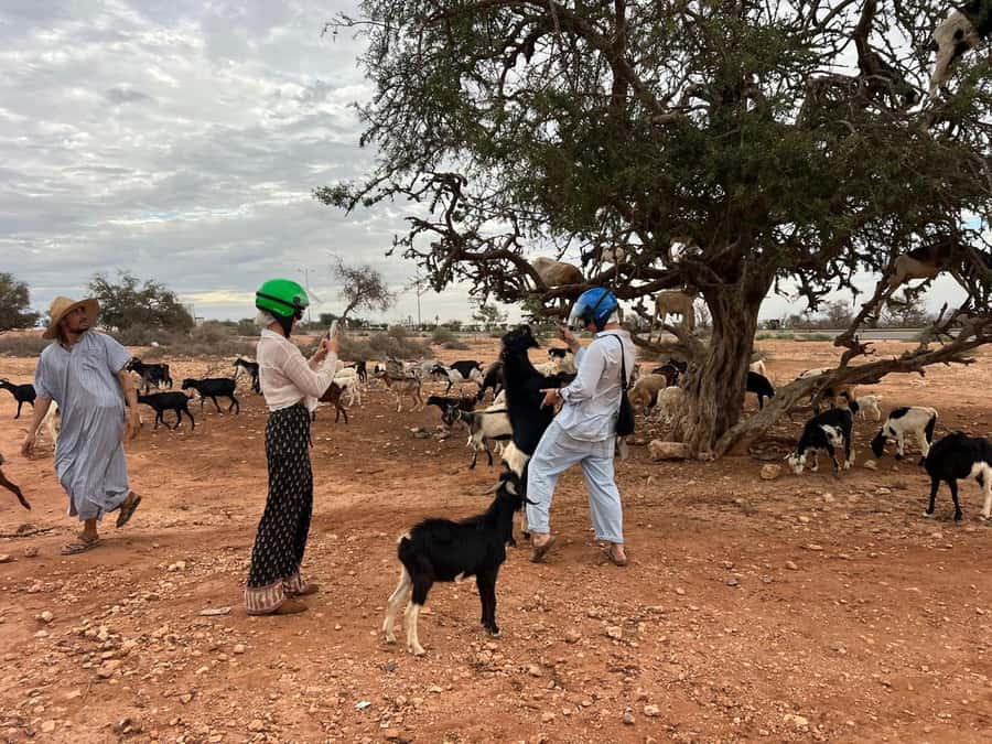 Agadir: Quad Bike Safari Desert With Moroccan Tea - Moroccan Tea in a Berber Tent: A Real Break for Your Legs and Your Senses