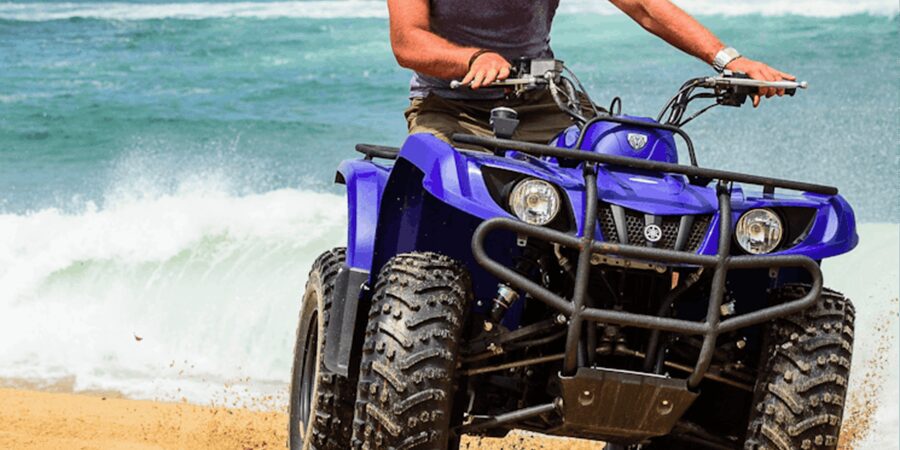 Agadir: Quad Bike Safari Desert With Moroccan Tea - Goats in Argan Trees: The Photo Moment Everyone Remembers