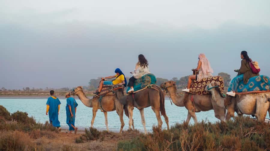 Agadir/Taghazout: Camel Ride with Tea Drink and Transfers - Key Takeaways Before You Book