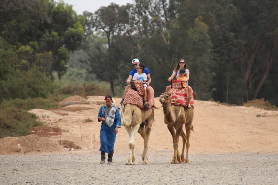 Agadir/Taghazout: Camel Ride with Tea Drink and Transfers - The Mint Tea Finish: Why the End Matters