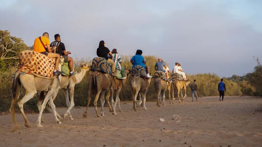Agadir/Taghazout: Camel Ride with Tea Drink and Transfers - What to Bring (So the Ride Feels Smooth)