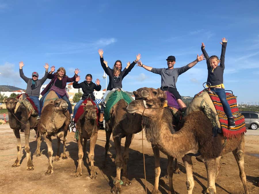 Agadir/Taghazout: Camel Rides with Tea Drink and Transfer - Key highlights at a glance