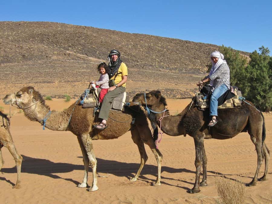 Agadir/Taghazout: Camel Rides with Tea Drink and Transfer - Who this camel ride suits best