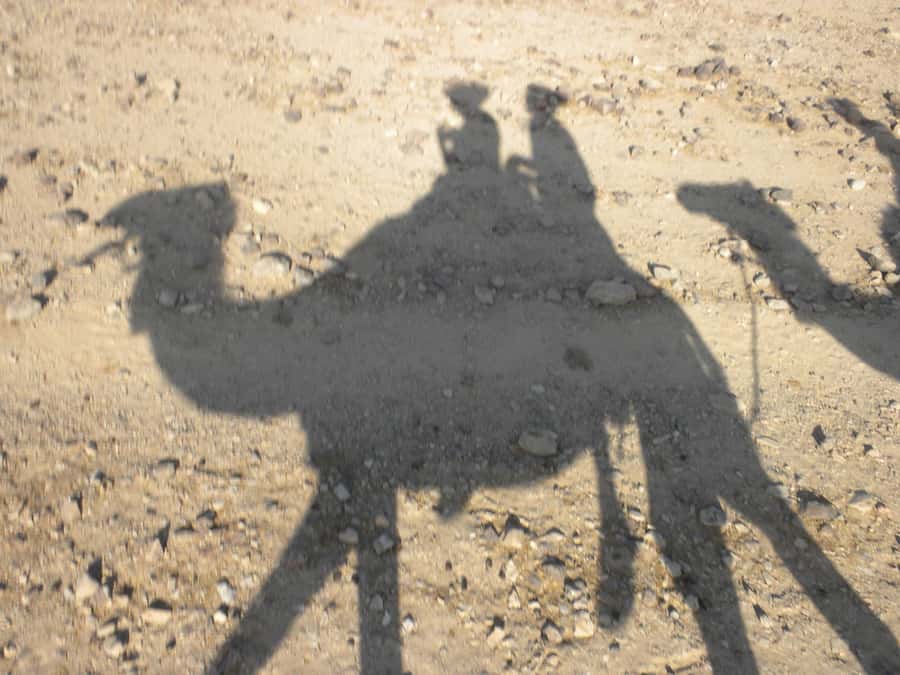 Agadir/Taghazout: Camel Rides with Tea Drink and Transfer - Getting settled with the camel guide