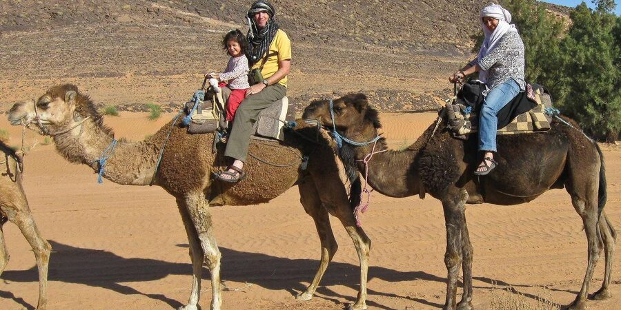 Agadir/Taghazout: Camel Rides with Tea Drink and Transfer - Your ride route: greenery, open space, and photo moments