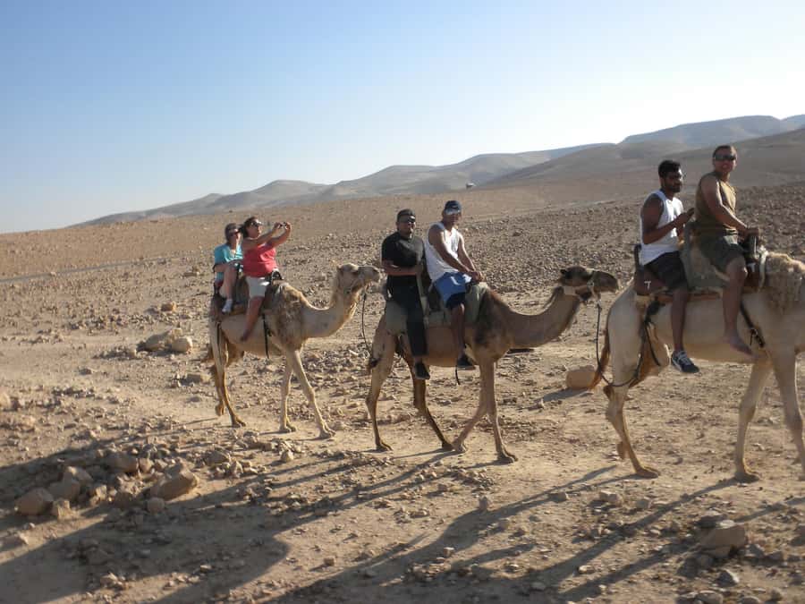 Agadir/Taghazout: Camel Rides with Tea Drink and Transfer - Price and value: does $38 feel fair?