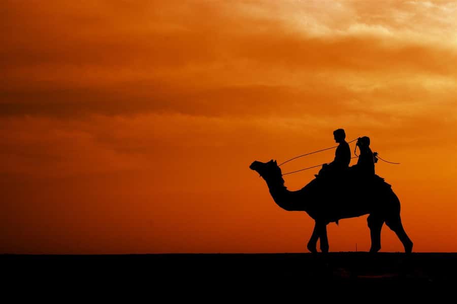 Agadir/Taghazout: Camel Rides with Tea Drink and Transfer - Languages and comfort: why English matters on a camel