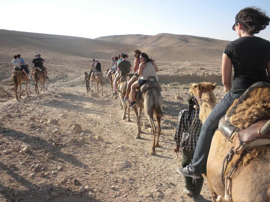 Agadir/Taghazout: Camel Rides with Tea Drink and Transfer - What to expect day-of: your realistic timeline