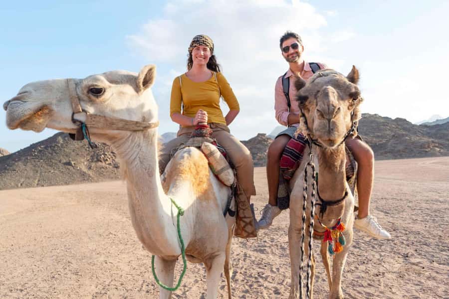 Agadir/Taghazout: Camel Rides with Tea Drink and Transfer - Transfer from your hotel: simple, but confirm the meet point