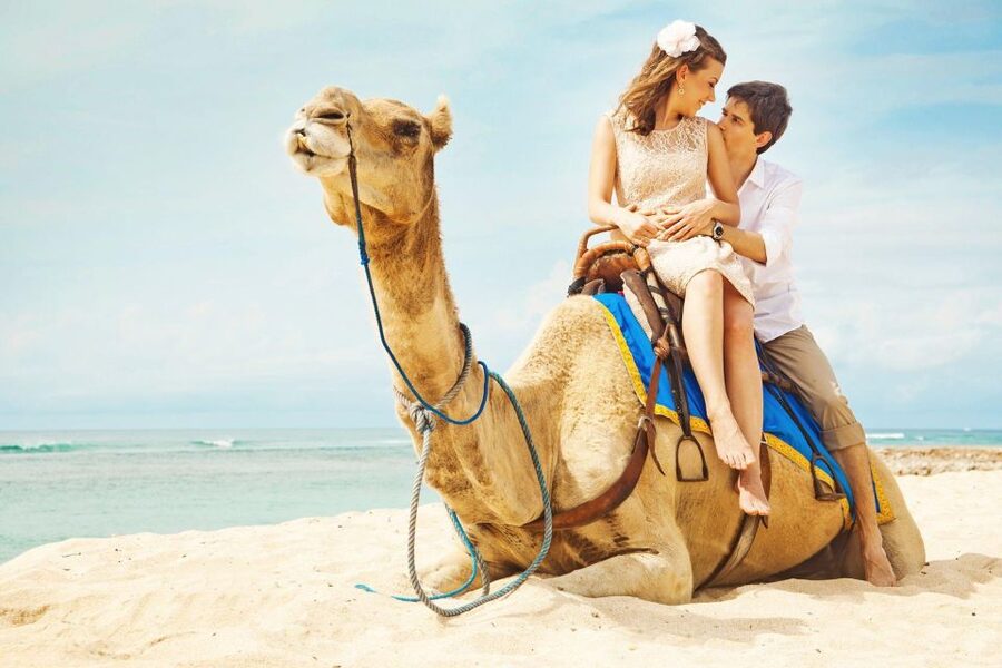 Agadir/Taghazout: Camel Rides with Tea Drink and Transfers - Photos, tea biscuits, and why the little moments matter
