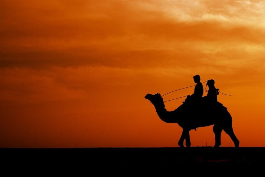 Agadir/Taghazout: Camel Rides with Tea Drink and Transfers - Practical tips: what to bring and what to watch for