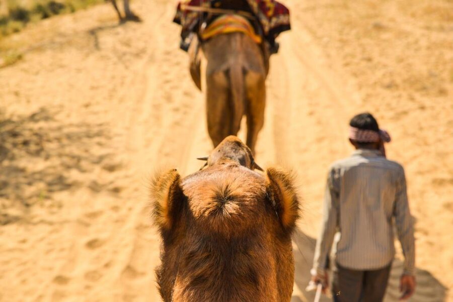 Agadir/Taghazout: Camel Rides with Tea Drink and Transfers - FAQ
