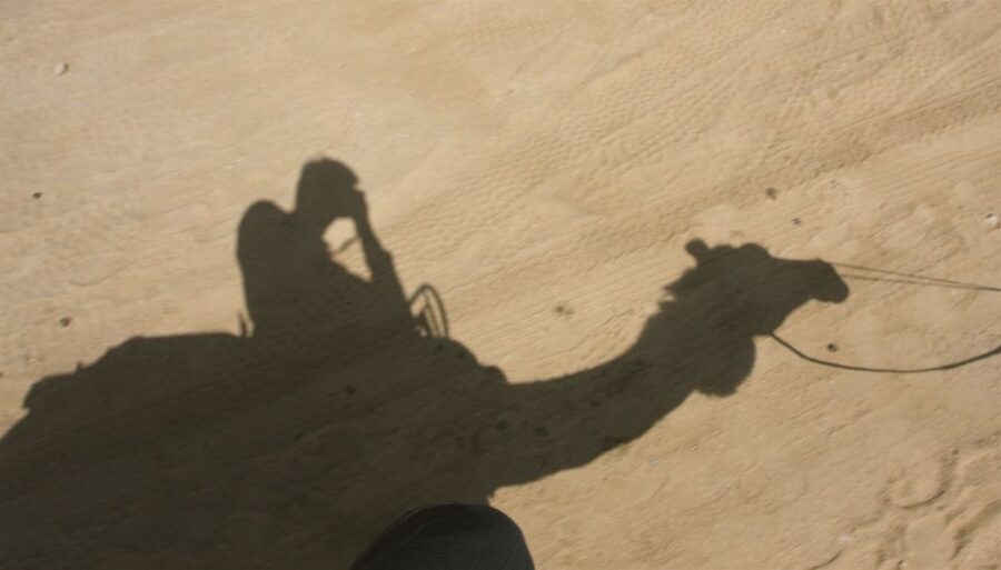 Agadir/Taghazout/Port: Camel Ride Tea & BBQ Option - Key highlights worth your time