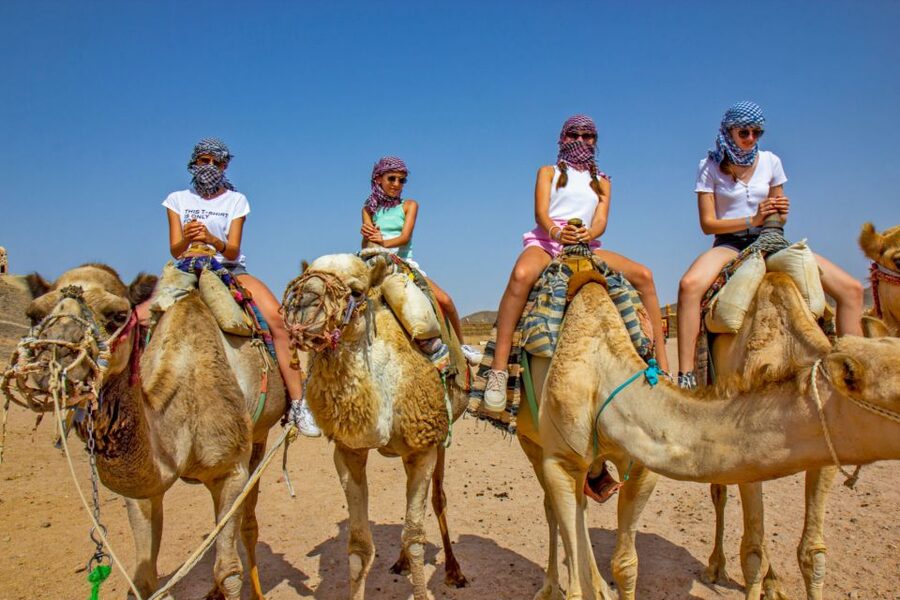 Agadir/Taghazout/Port: Camel Ride Tea & BBQ Option - Aghroud Bensergao walk: where the story starts