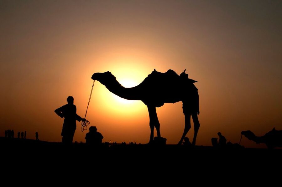 Agadir/Taghazout/Port: Camel Ride Tea & BBQ Option - The Camel Tea Place: why the tea stop matters