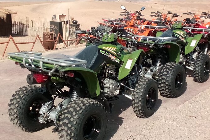 Agafay Desert, 2H of Quad Biking, tea & transfer from Marrakech - What the Guides Do Well: The Friendly, Hands-On Service Angle