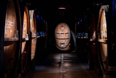 Alsatian Immersive Wine Tour, Wine Tasting & wine/tea time - What makes the cellar visit more than a quick walk